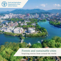 Forests and sustainable cities: inspiring stories from around the world